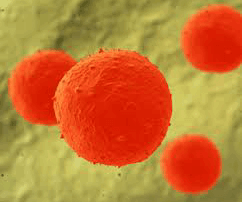 tratament cu celule stem Beike Biotechnology